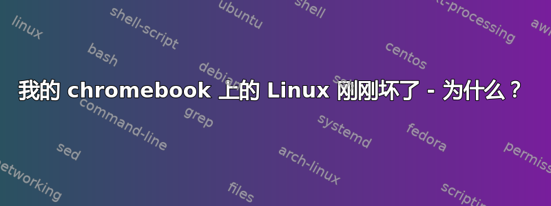 我的 chromebook 上的 Linux 刚刚坏了 - 为什么？