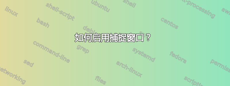 如何启用捕捉窗口？