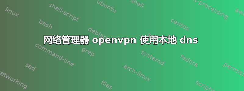 网络管理器 openvpn 使用本地 dns