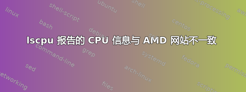 lscpu 报告的 CPU 信息与 AMD 网站不一致