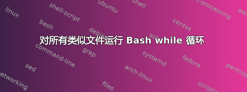 对所有类似文件运行 Bash while 循环