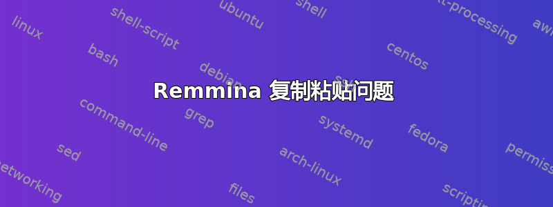 Remmina 复制粘贴问题