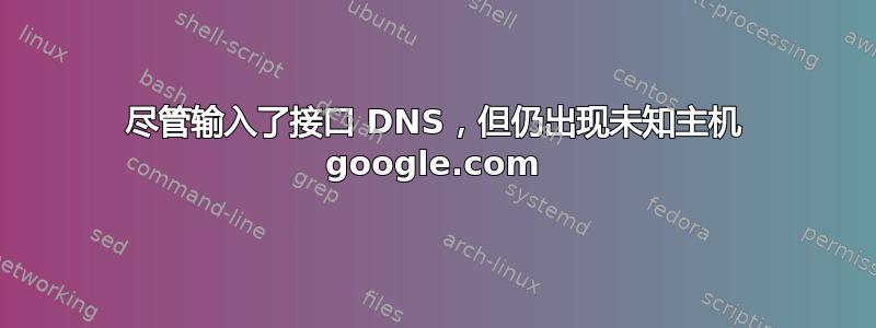 尽管输入了接口 DNS，但仍出现未知主机 google.com