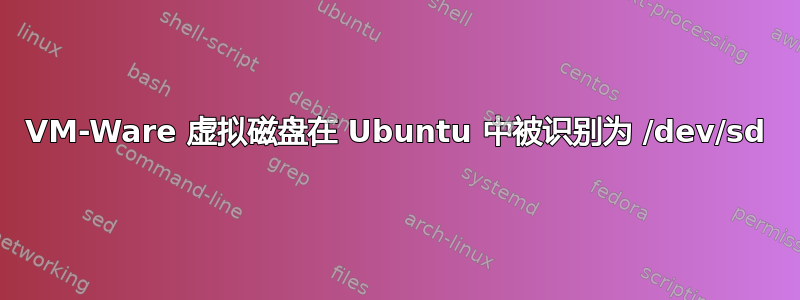 VM-Ware 虚拟磁盘在 Ubuntu 中被识别为 /dev/sd