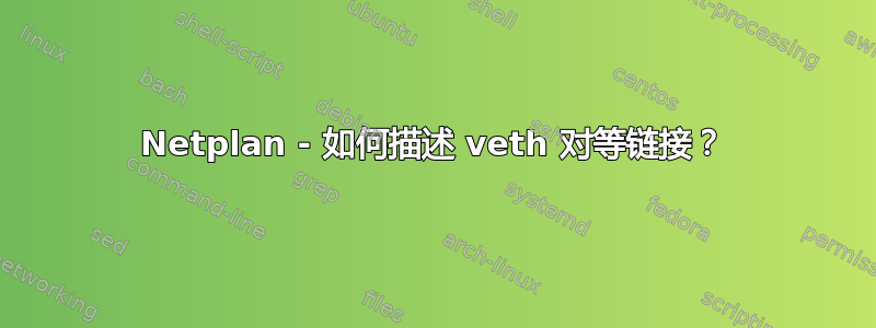 Netplan - 如何描述 veth 对等链接？