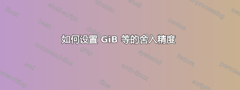 如何设置 GiB 等的舍入精度