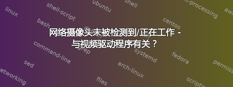 网络摄像头未被检测到/正在工作 - 与视频驱动程序有关？