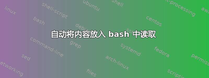 自动将内容放入 bash 中读取