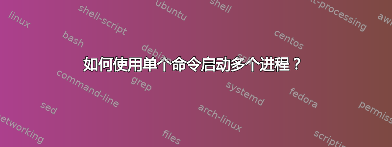 如何使用单个命令启动多个进程？