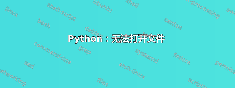 Python：无法打开文件