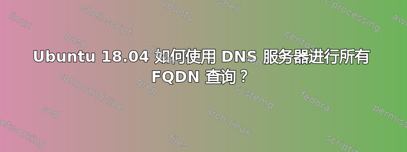 Ubuntu 18.04 如何使用 DNS 服务器进行所有 FQDN 查询？