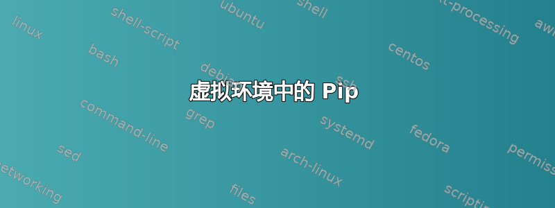 虚拟环境中的 Pip