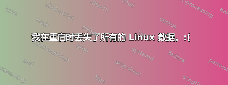 我在重启时丢失了所有的 Linux 数据。:( 