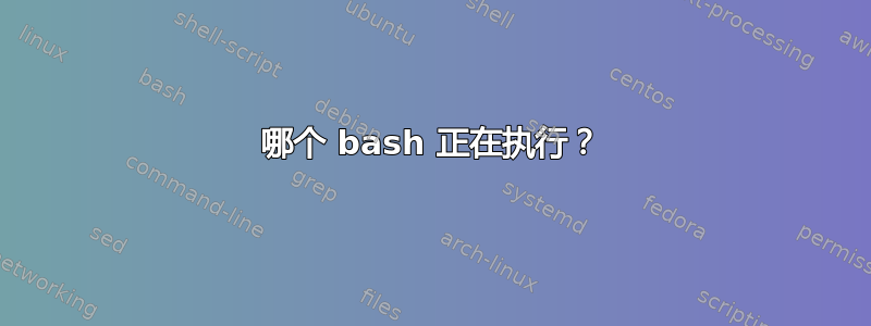 哪个 bash 正在执行？