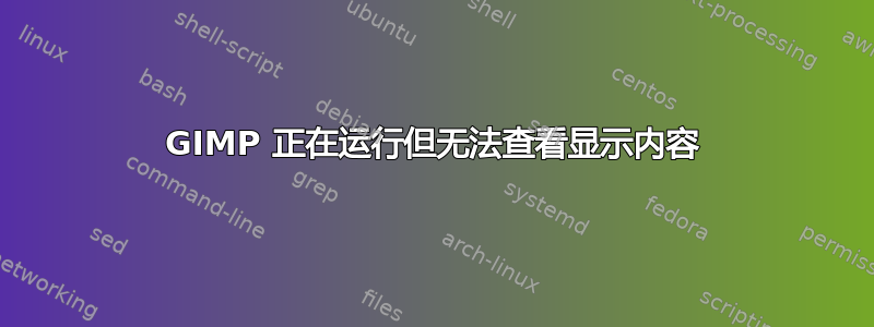 GIMP 正在运行但无法查看显示内容