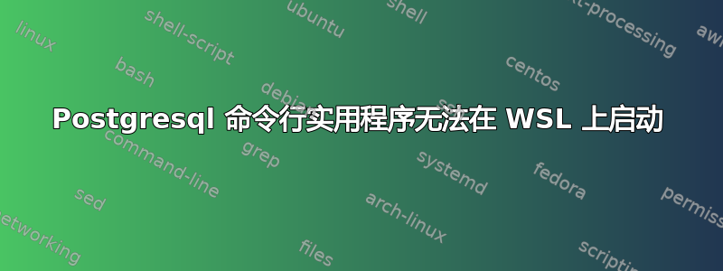 Postgresql 命令行实用程序无法在 WSL 上启动