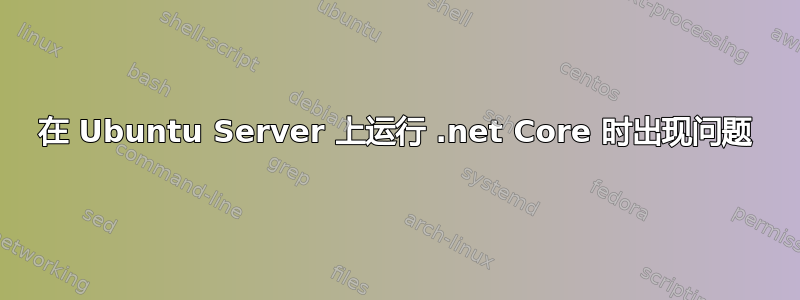 在 Ubuntu Server 上运行 .net Core 时出现问题