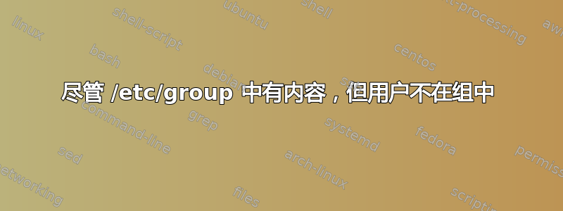 尽管 /etc/group 中有内容，但用户不在组中