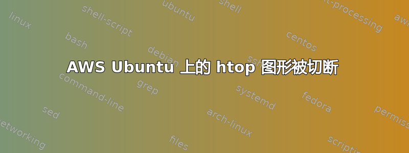 AWS Ubuntu 上的 htop 图形被切断