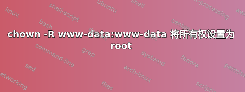 chown -R www-data:www-data 将所有权设置为 root