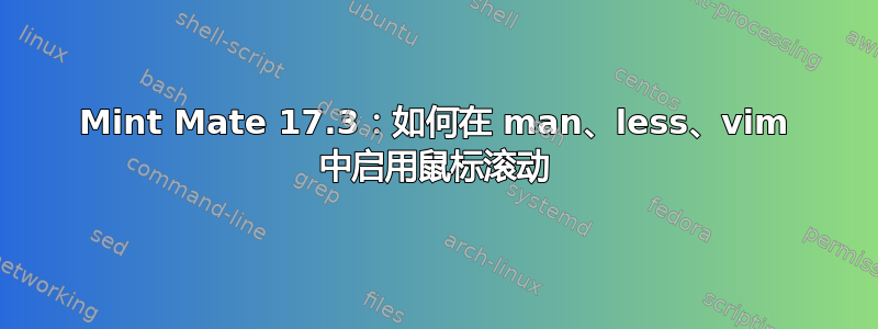 Mint Mate 17.3：如何在 man、less、vim 中启用鼠标滚动