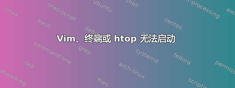 Vim、终端或 htop 无法启动