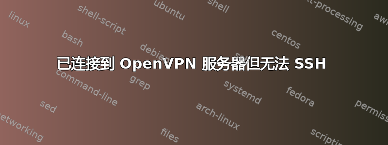 已连接到 OpenVPN 服务器但无法 SSH