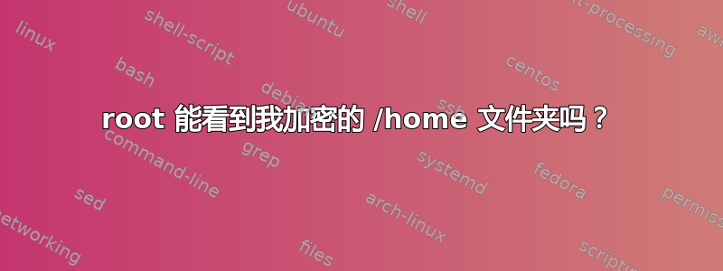 root 能看到我加密的 /home 文件夹吗？