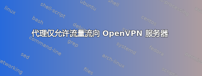 代理仅允许流量流向 OpenVPN 服务器