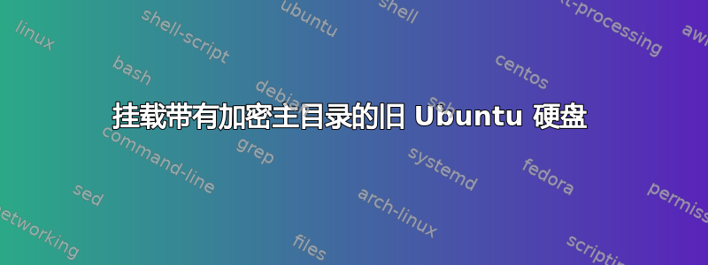 挂载带有加密主目录的旧 Ubuntu 硬盘