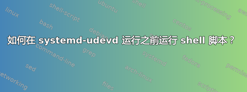 如何在 systemd-udevd 运行之前运行 shell 脚本？