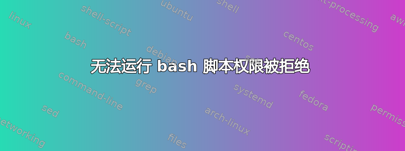 无法运行 bash 脚本权限被拒绝