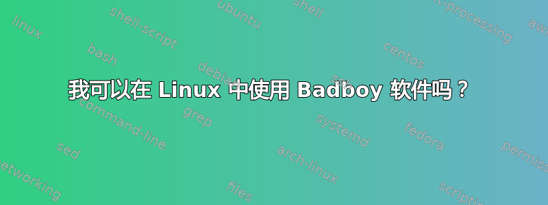 我可以在 Linux 中使用 Badboy 软件吗？