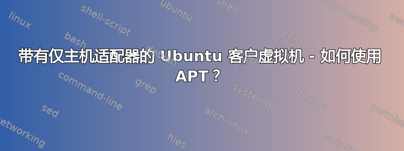 带有仅主机适配器的 Ubuntu 客户虚拟机 - 如何使用 APT？