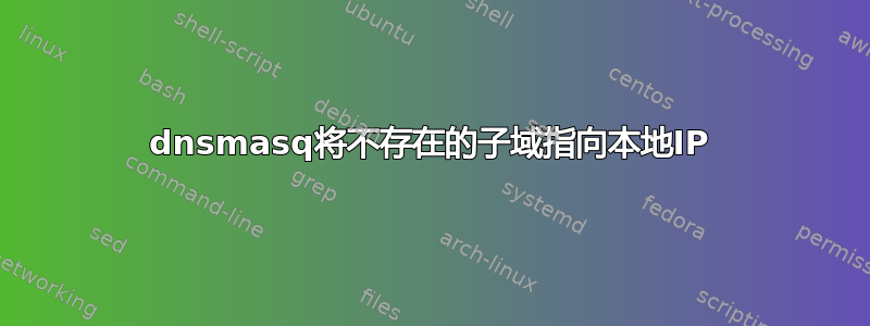 dnsmasq将不存在的子域指向本地IP