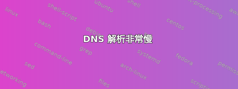 DNS 解析非常慢