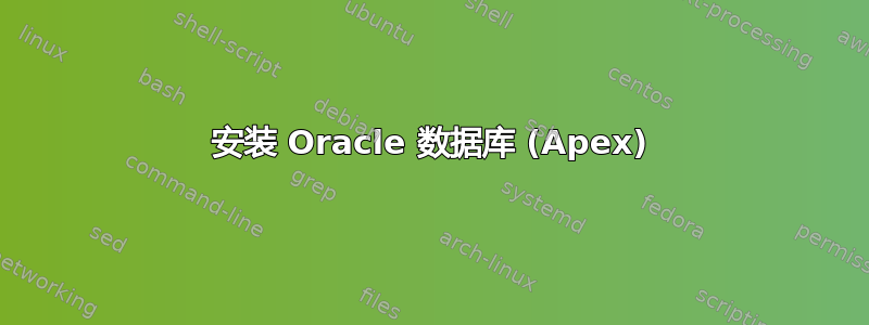 安装 Oracle 数据库 (Apex)