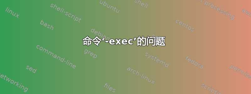 命令‘-exec’的问题