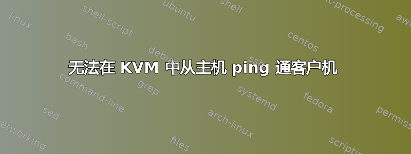 无法在 KVM 中从主机 ping 通客户机