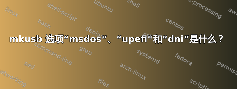 mkusb 选项“msdos”、“upefi”和“dni”是什么？