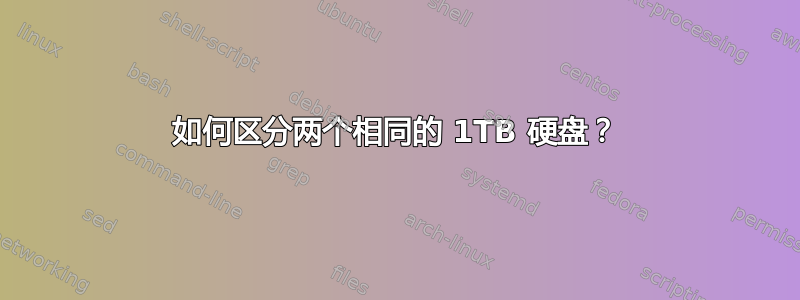 如何区分两个相同的 1TB 硬盘？