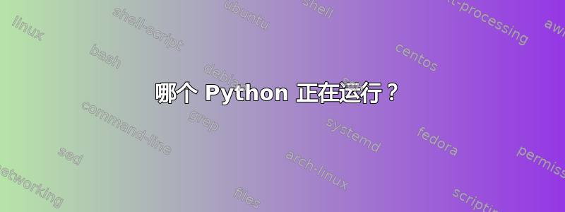 哪个 Python 正在运行？