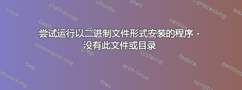 尝试运行以二进制文件形式安装的程序 - 没有此文件或目录