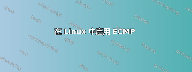 在 Linux 中启用 ECMP