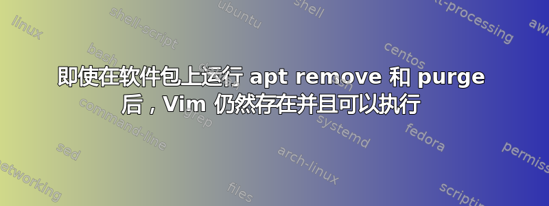 即使在软件包上运行 apt remove 和 purge 后，Vim 仍然存在并且可以执行