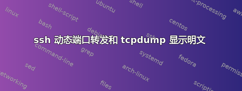 ssh 动态端口转发和 tcpdump 显示明文