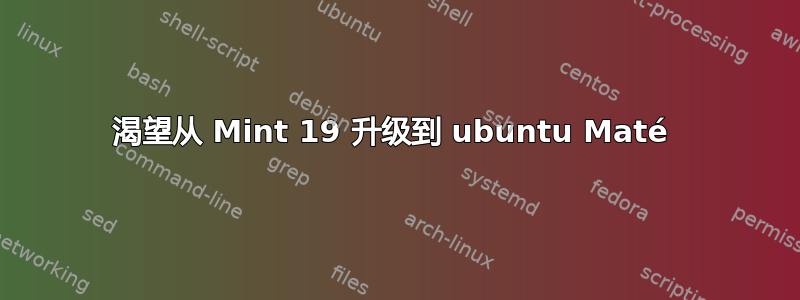 渴望从 Mint 19 升级到 ubuntu Maté 