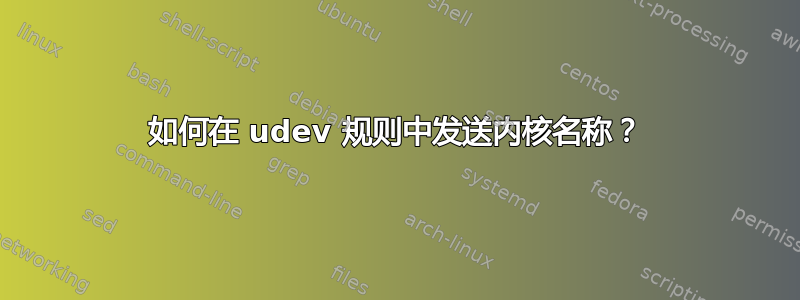 如何在 udev 规则中发送内核名称？