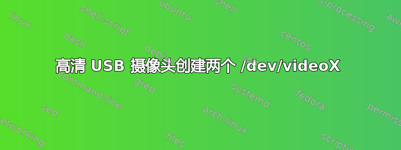 高清 USB 摄像头创建两个 /dev/videoX