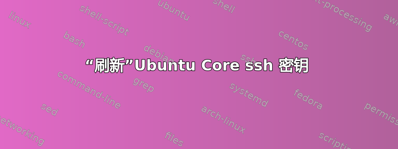 “刷新”Ubuntu Core ssh 密钥